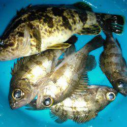 ひさびさの釣行の巻